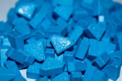 Kaufen Sie AAA+ Blue Punishers